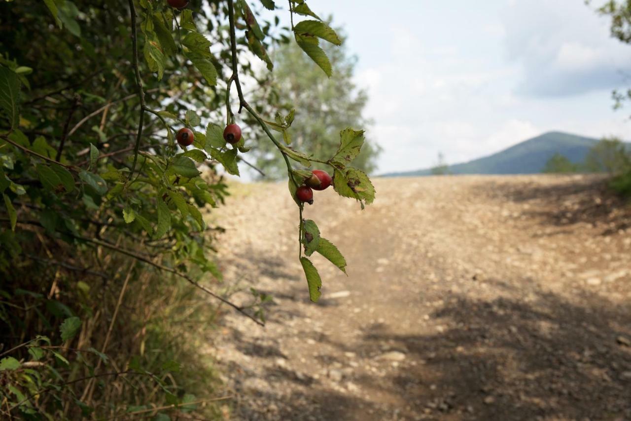 Ostoja Rzyki Exterior foto